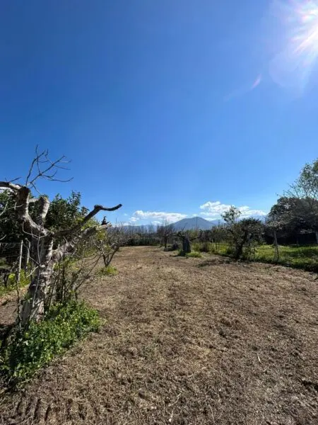 Terreno Agricolo via Del Mare 00, Scalea