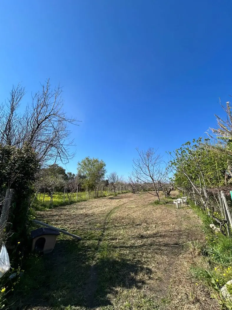 Immagine per Terreno Agricolo in vendita a Scalea via Del Mare 00