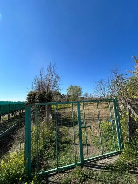 Terreno Agricolo via Del Mare 00, Scalea