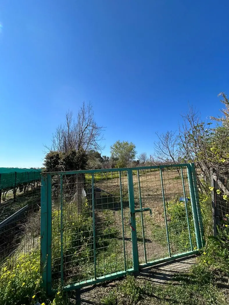 Immagine per Terreno Agricolo in vendita a Scalea via Del Mare 00