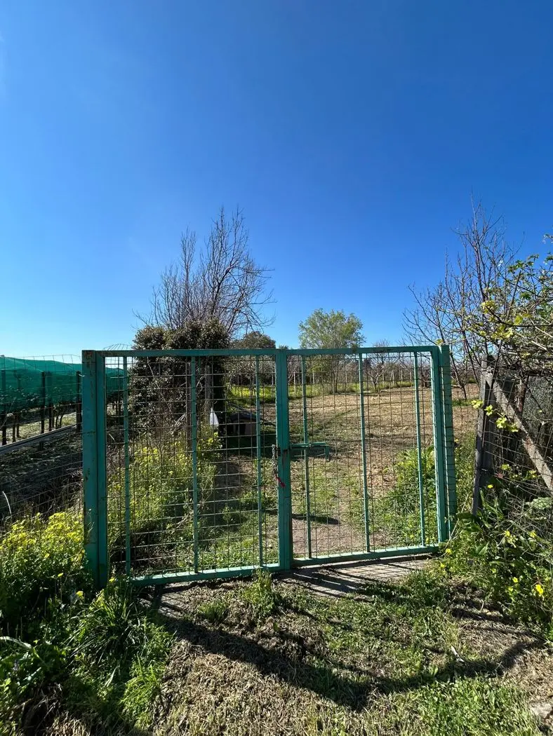 Immagine per Terreno Agricolo in vendita a Scalea via Del Mare 00