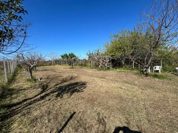 Terreno Agricolo via Del Mare 00, Scalea