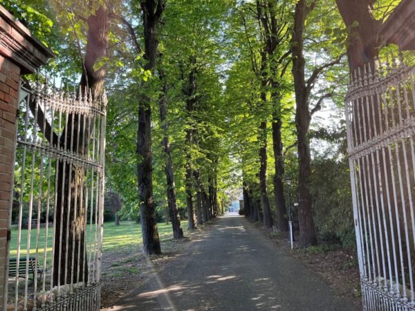 Immagine per Appartamento in affitto a Pianezza via Druento