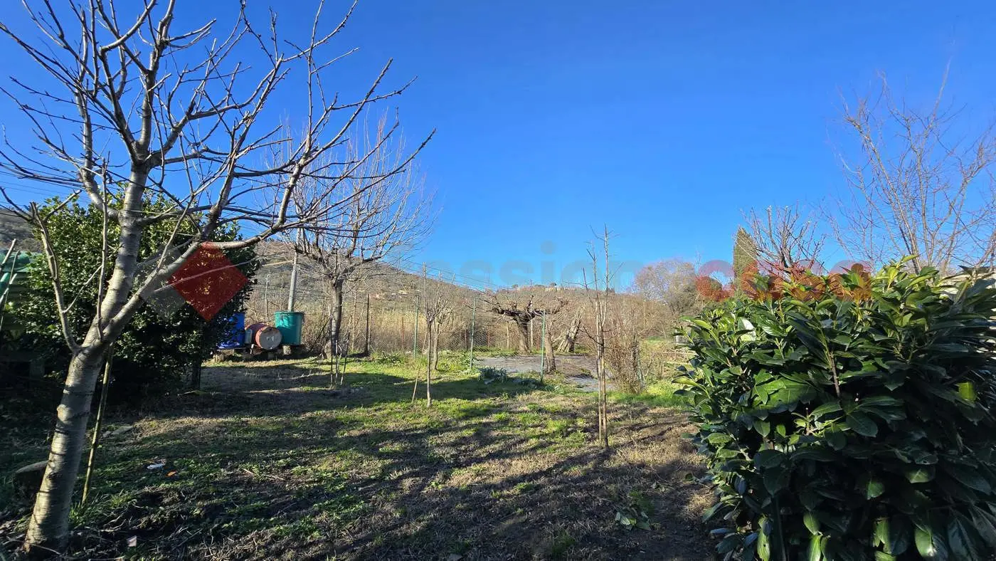 Immagine per Appartamento in vendita a Arezzo