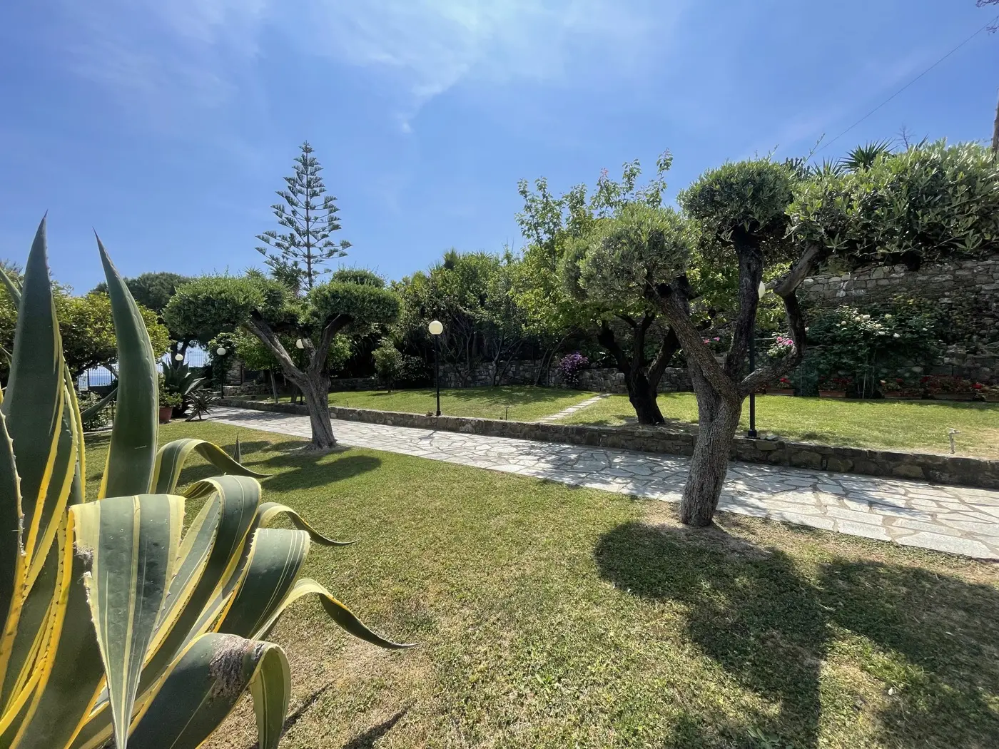 Immagine per Villa in vendita a Santo Stefano al Mare strada Consortile Cavi 10