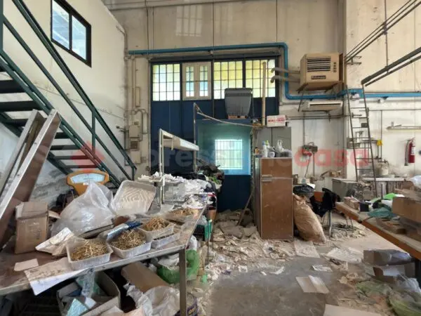 Laboratorio Arezzo