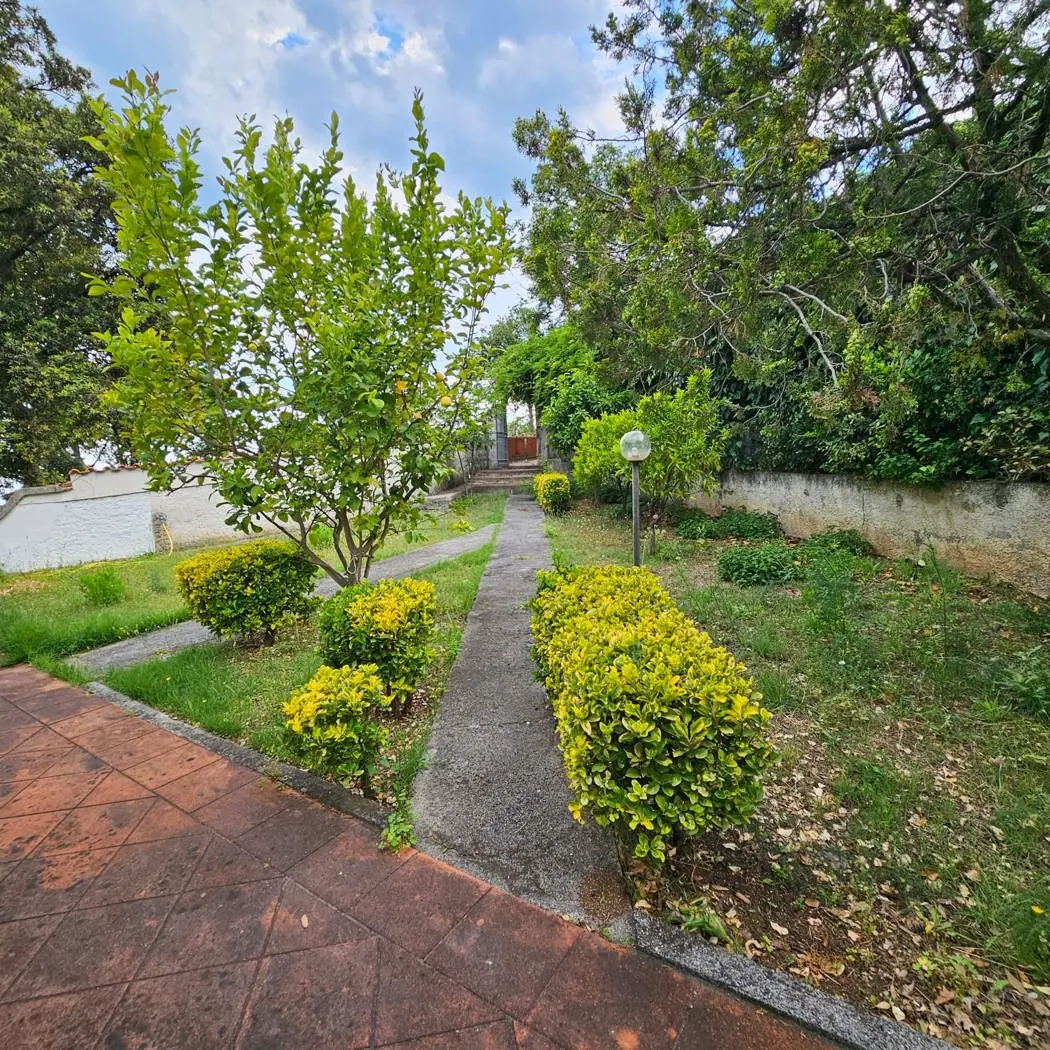 Immagine per Villa in vendita a Maratea via Rovina 13
