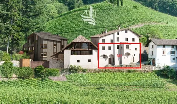 Immagine per Appartamento in vendita a Bolzano