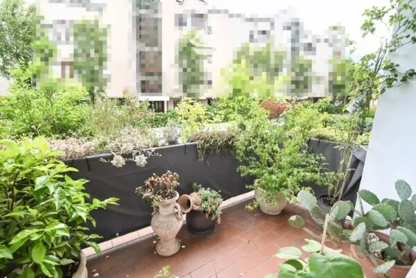 Immagine per Appartamento in vendita a Bolzano