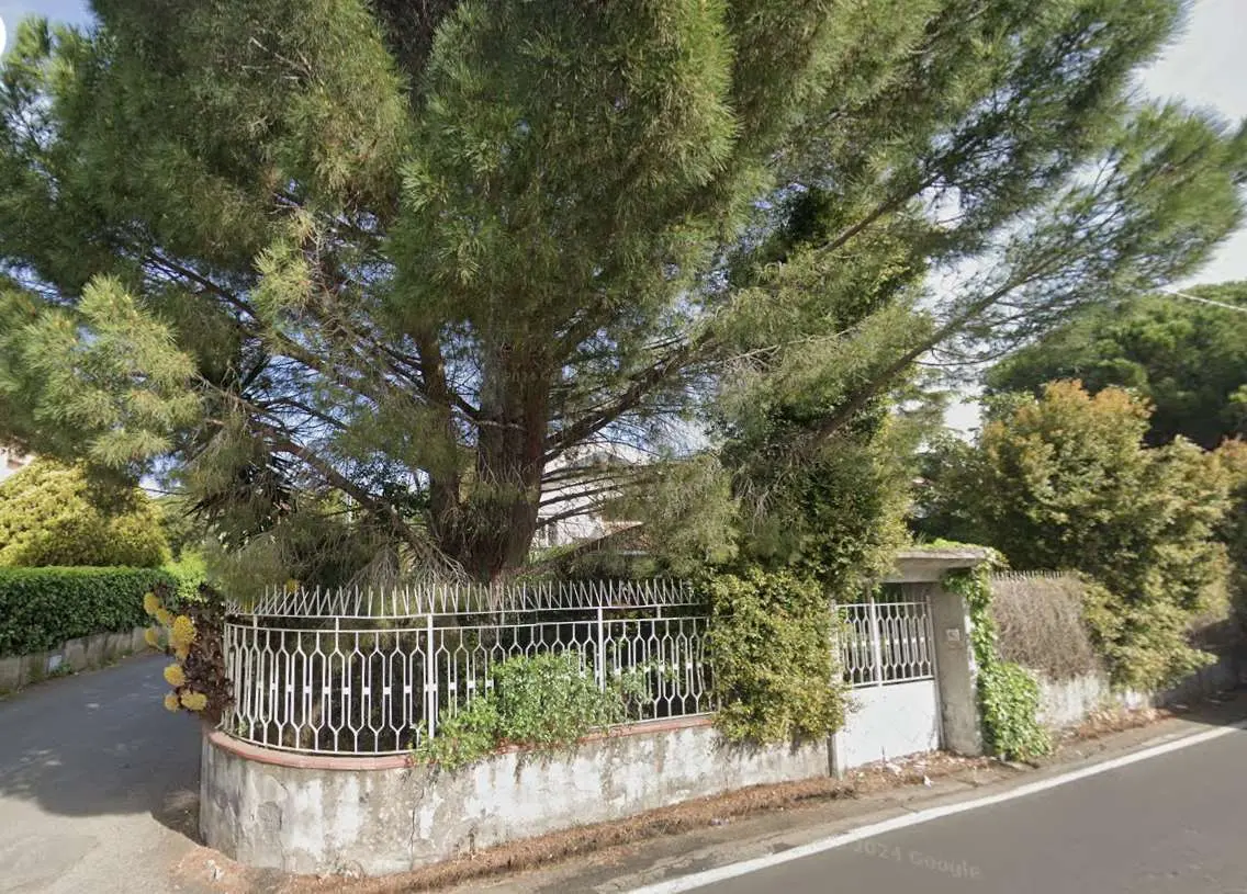 Immagine per Villa in asta a Mascalucia via Belpasso -pedara 23