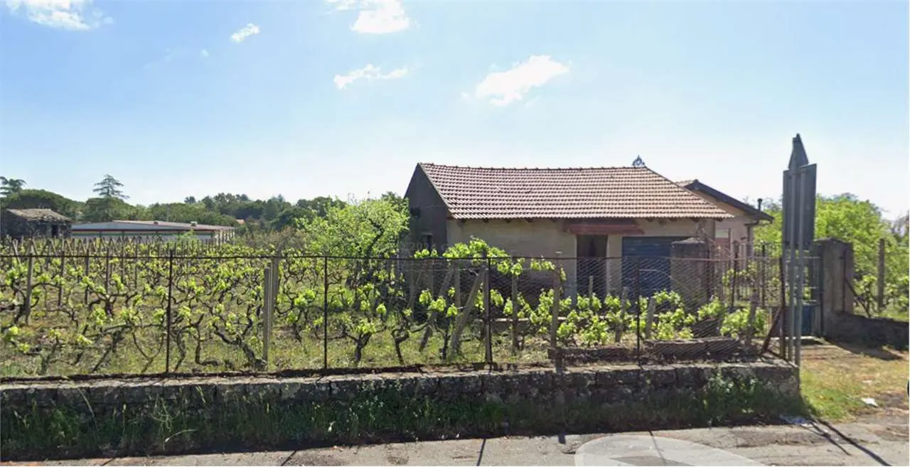 Immagine per Villetta a Schiera in asta a Pedara via Tarderia 112