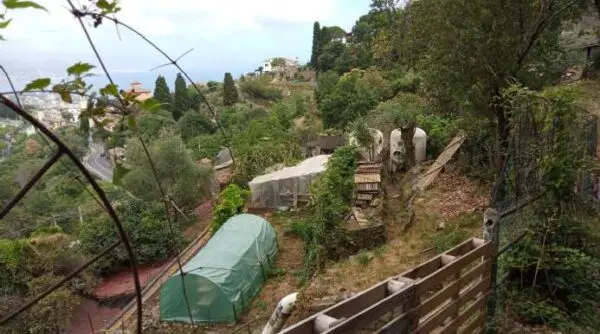 Appartamento Santa Margherita Ligure