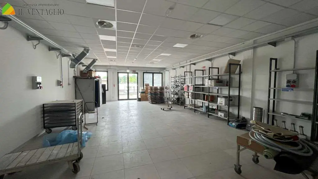 Immagine per Capannone in vendita a Fiorano Modenese