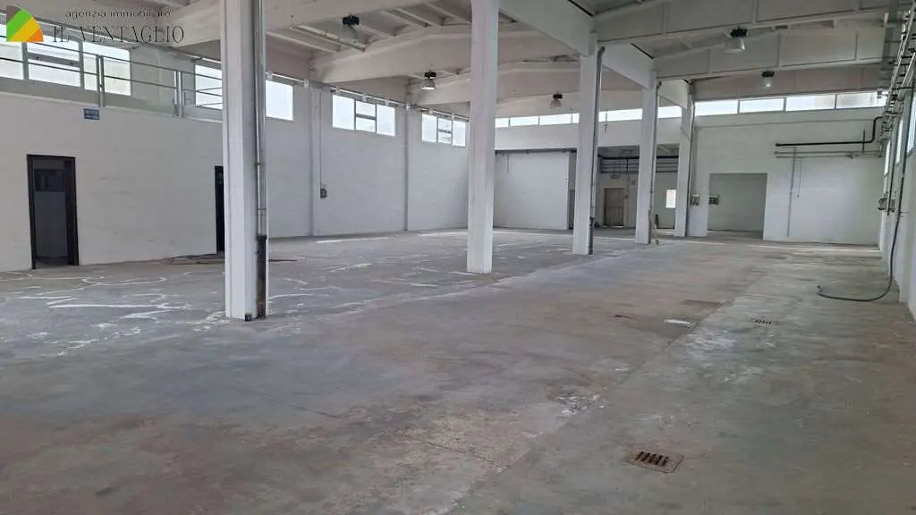 Immagine per Capannone in affitto a Modena