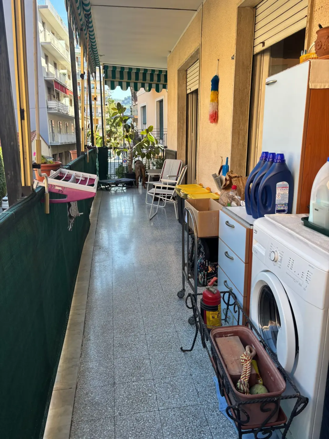 Immagine per Bilocale in vendita a Taggia via Cristoforo Colombo