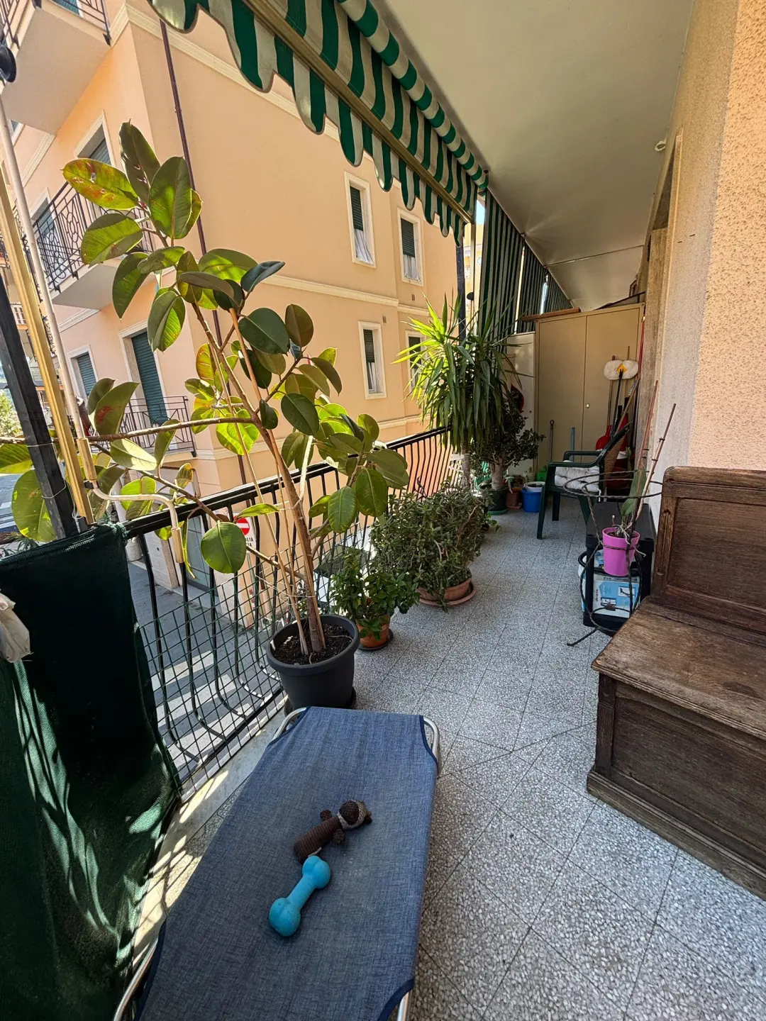 Immagine per Bilocale in vendita a Taggia via Cristoforo Colombo