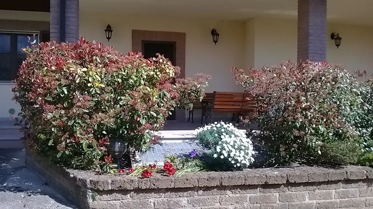 Immagine per Villa in vendita a Campli via Mirabilii 16B