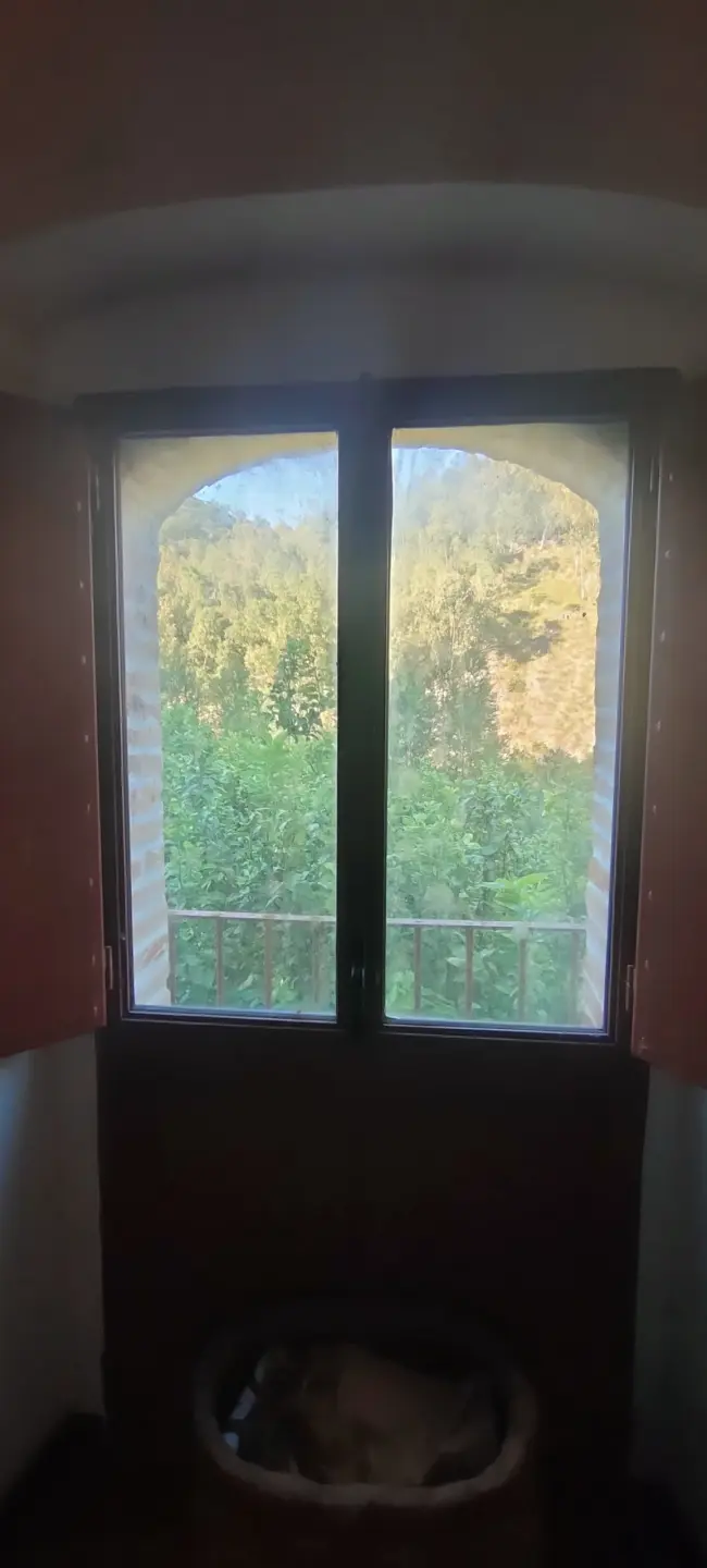 Immagine per Villa in vendita a Palizzi via San Sebastiano 11