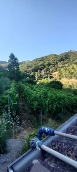 Immagine per Villa in vendita a Palizzi via San Sebastiano 11