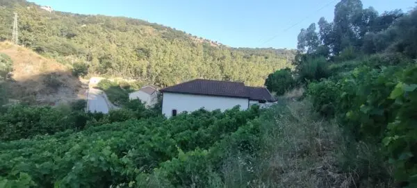 Villa via San Sebastiano 11, Palizzi