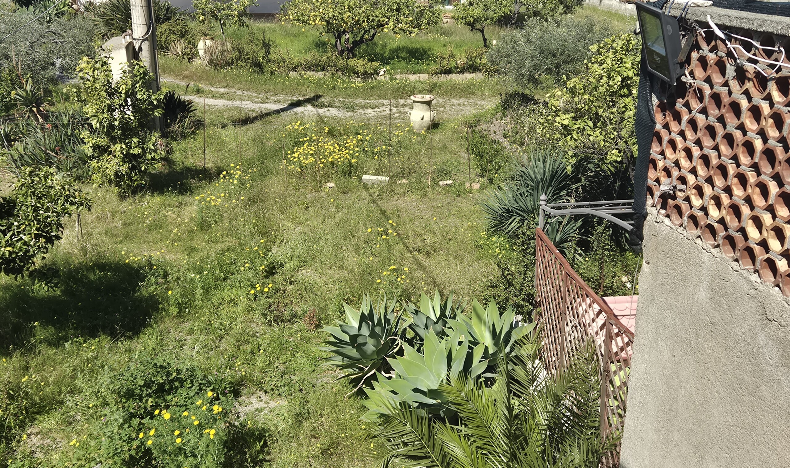 Immagine per Villa trifamiliare in vendita a Motta San Giovanni via Lungomare Cicerone 44
