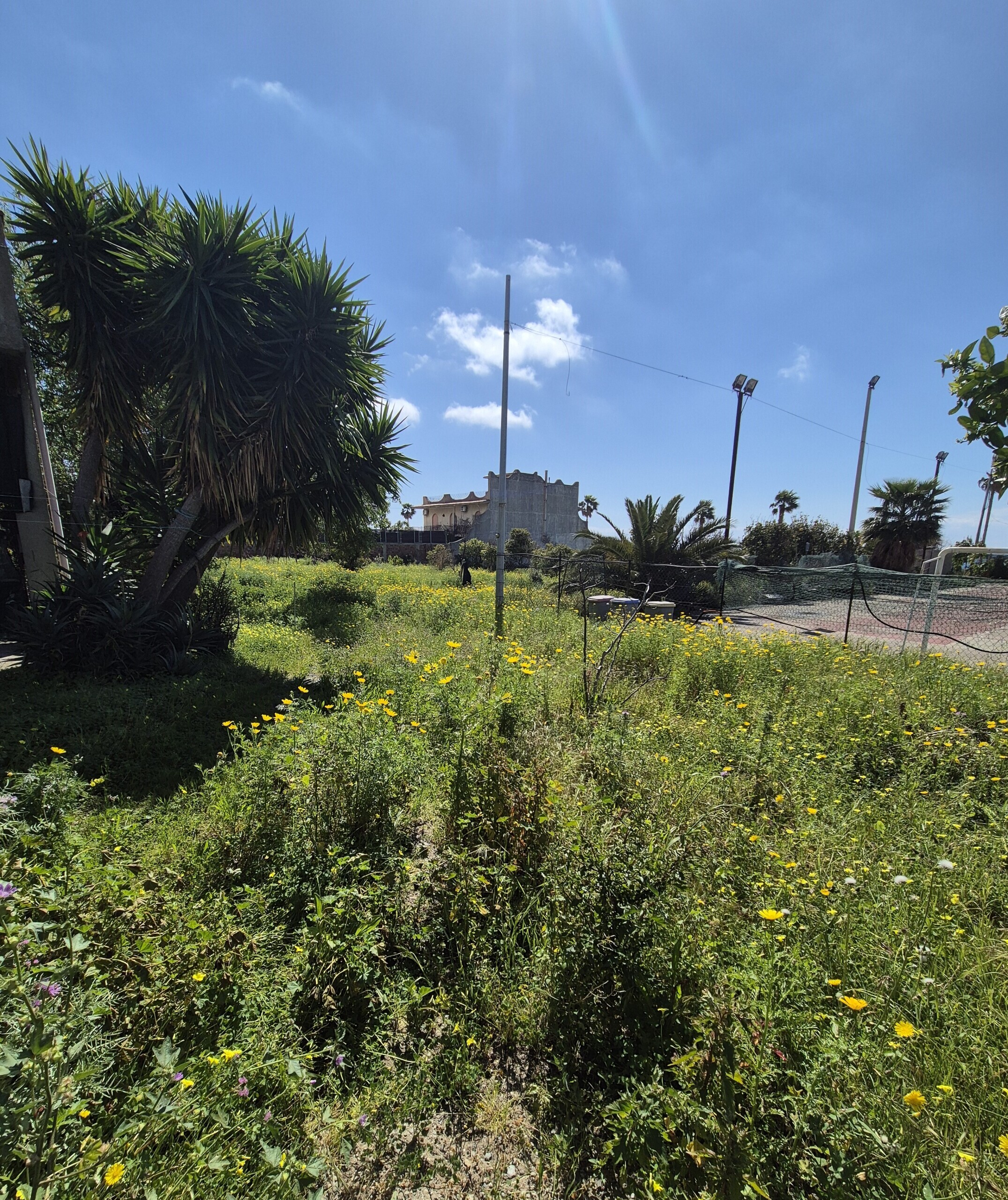Immagine per Villa trifamiliare in vendita a Motta San Giovanni via Lungomare Cicerone 44