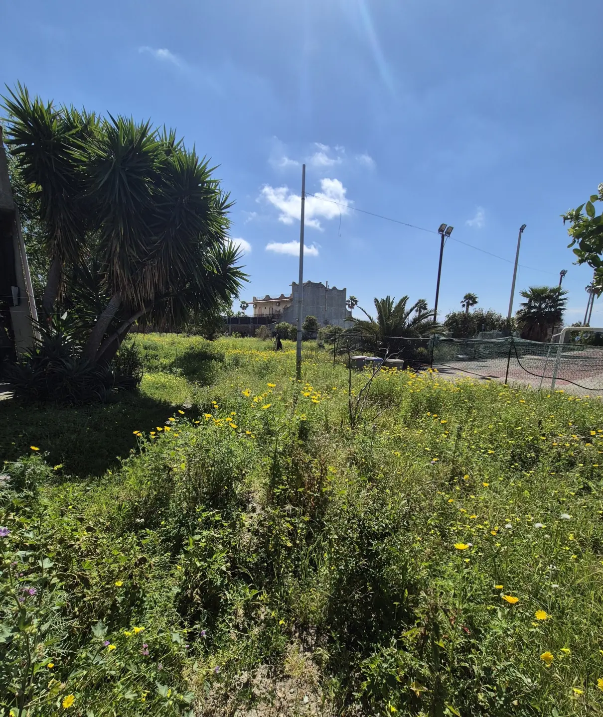 Immagine per Villa trifamiliare in vendita a Motta San Giovanni via Lungomare Cicerone 44