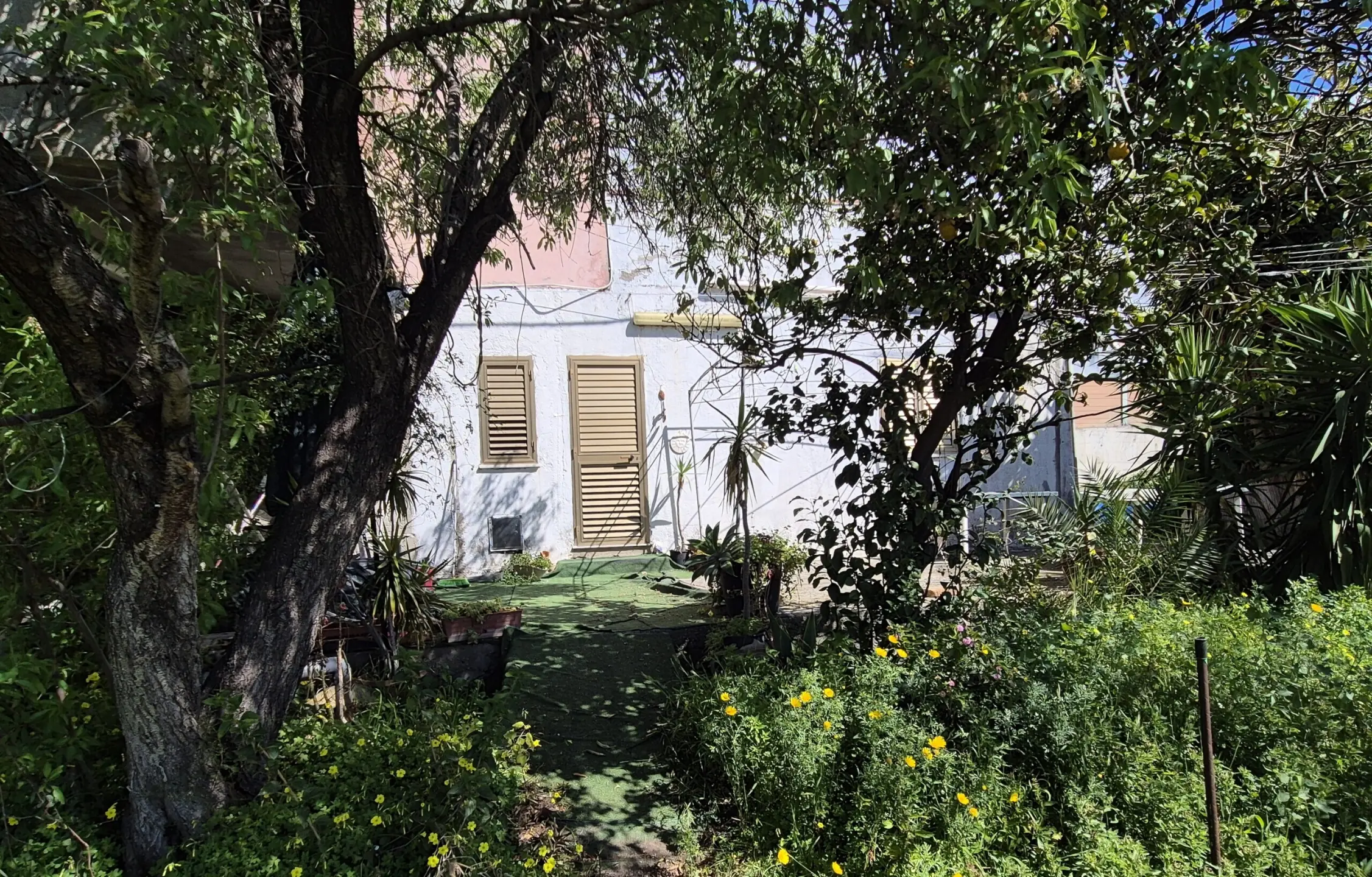 Immagine per Villa trifamiliare in vendita a Motta San Giovanni via Lungomare Cicerone 44
