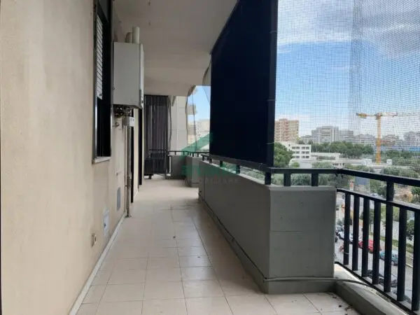 Immagine per Area verde in affitto a Bari viale San Josemaría Escrivá 28