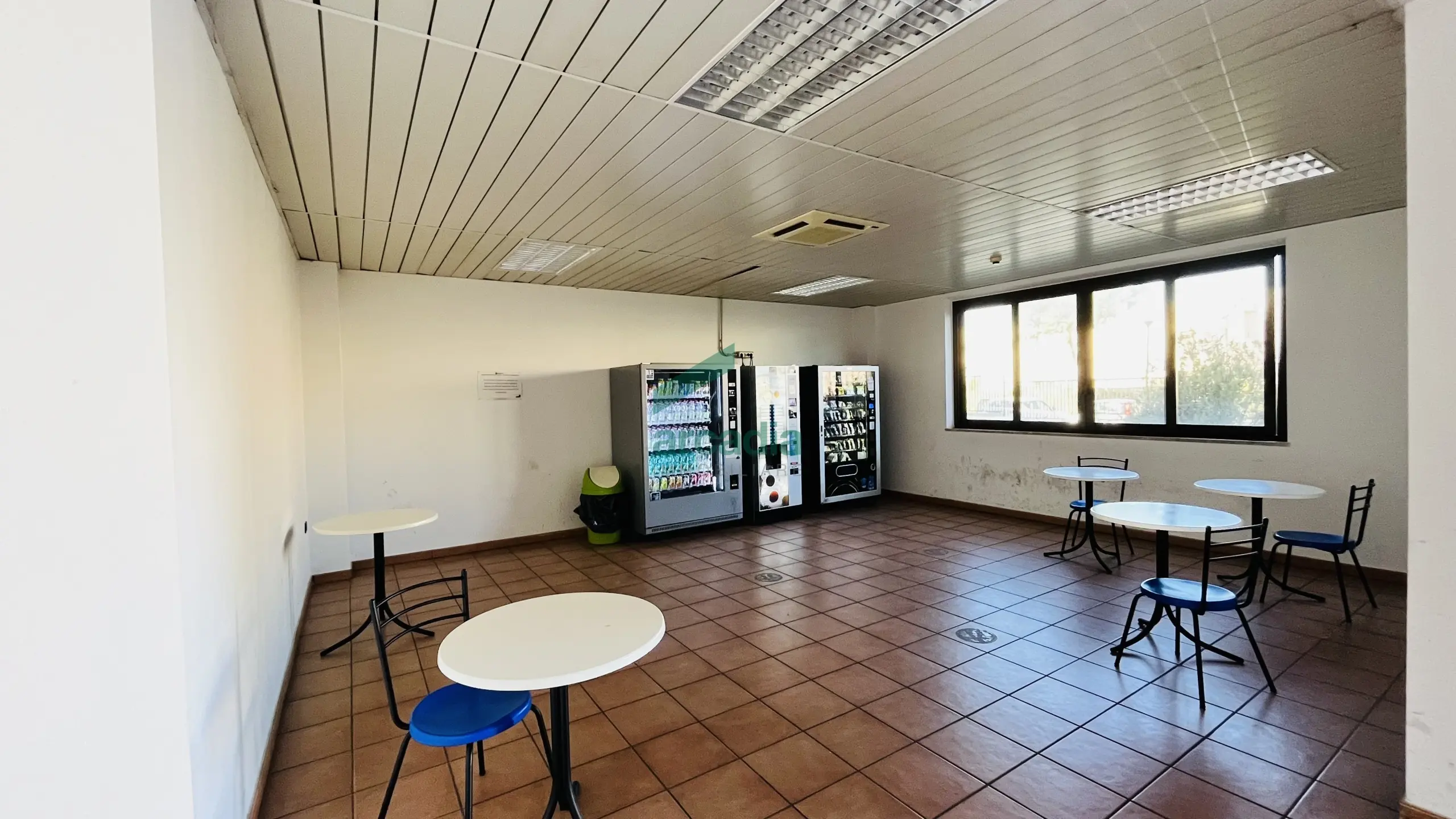 Immagine per Area verde in vendita a Bari via Saverio Milella 2/bis