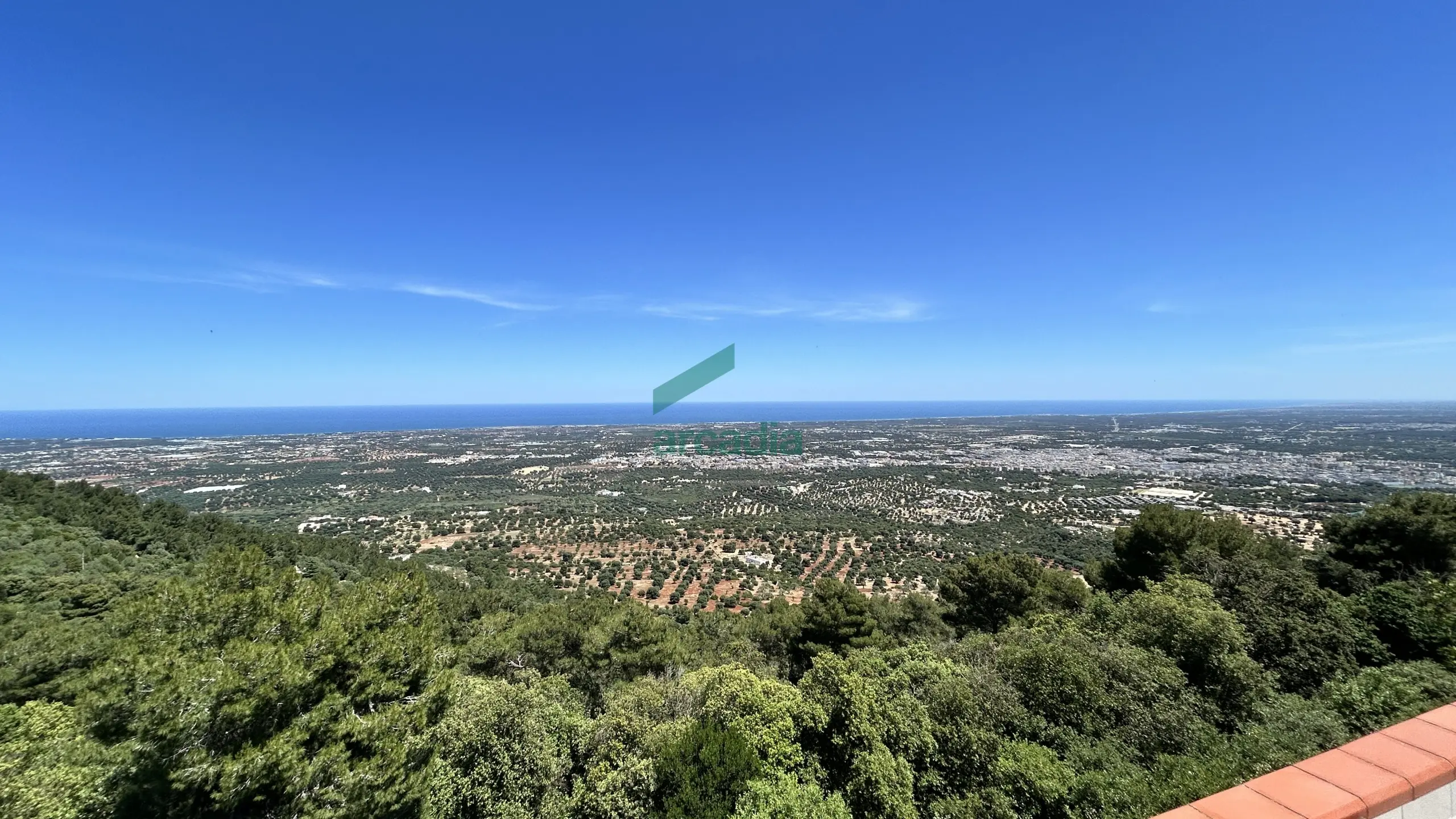 Immagine per Monolocale in vendita a Fasano viale Delle Querce 3
