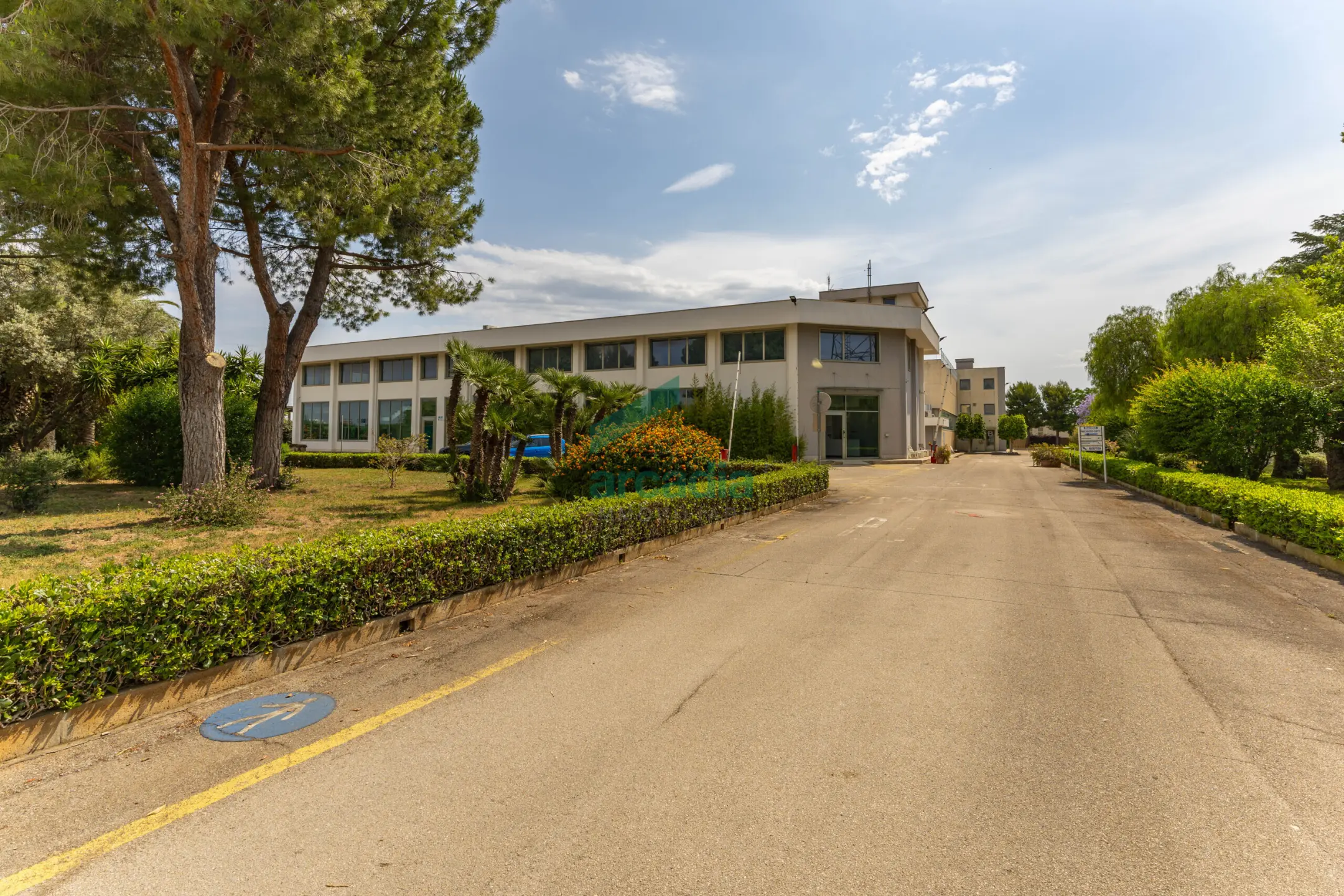 Immagine per Industriale in vendita a Modugno via Dei Gigli 21