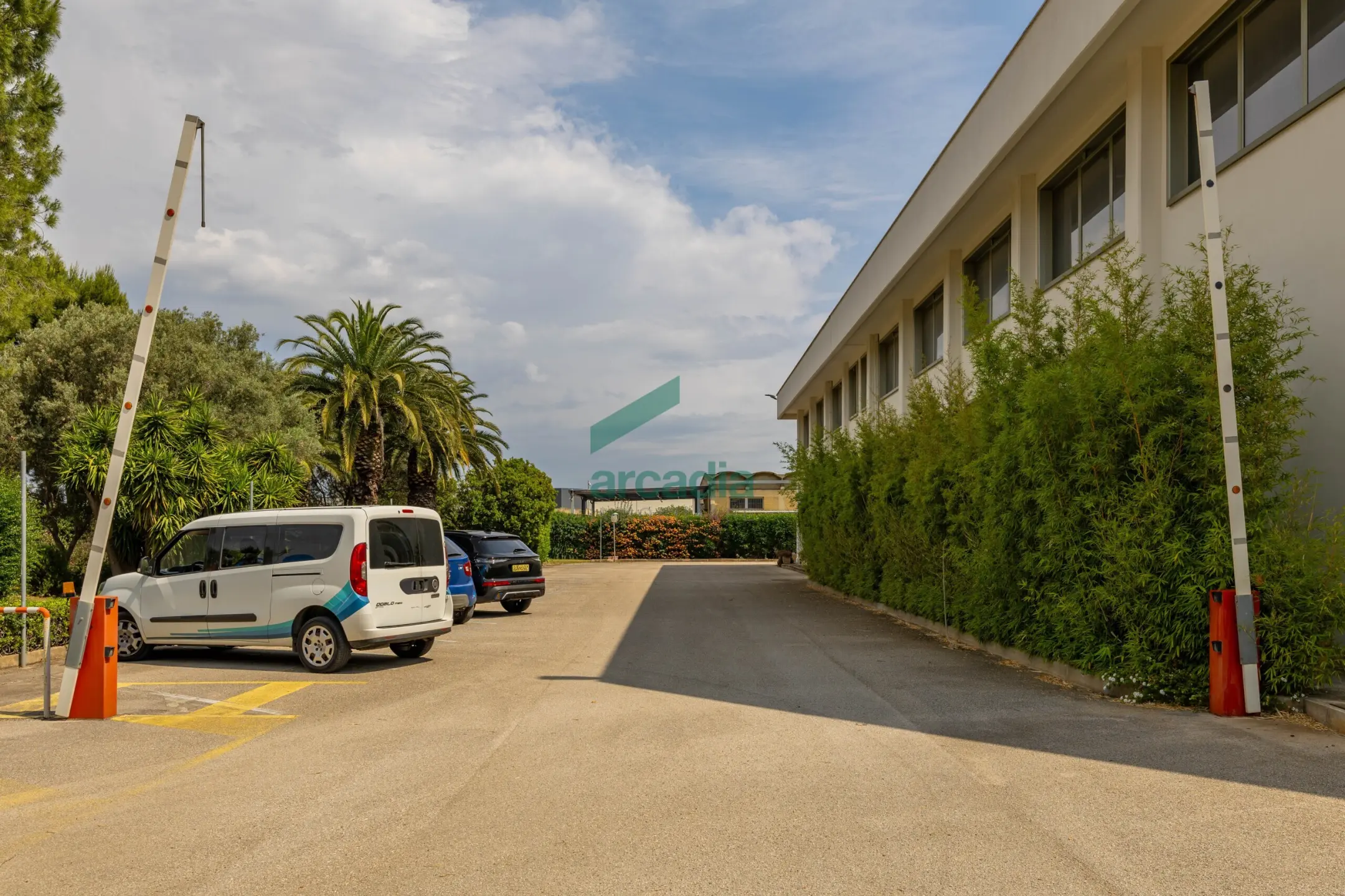Immagine per Industriale in vendita a Modugno via Dei Gigli 21