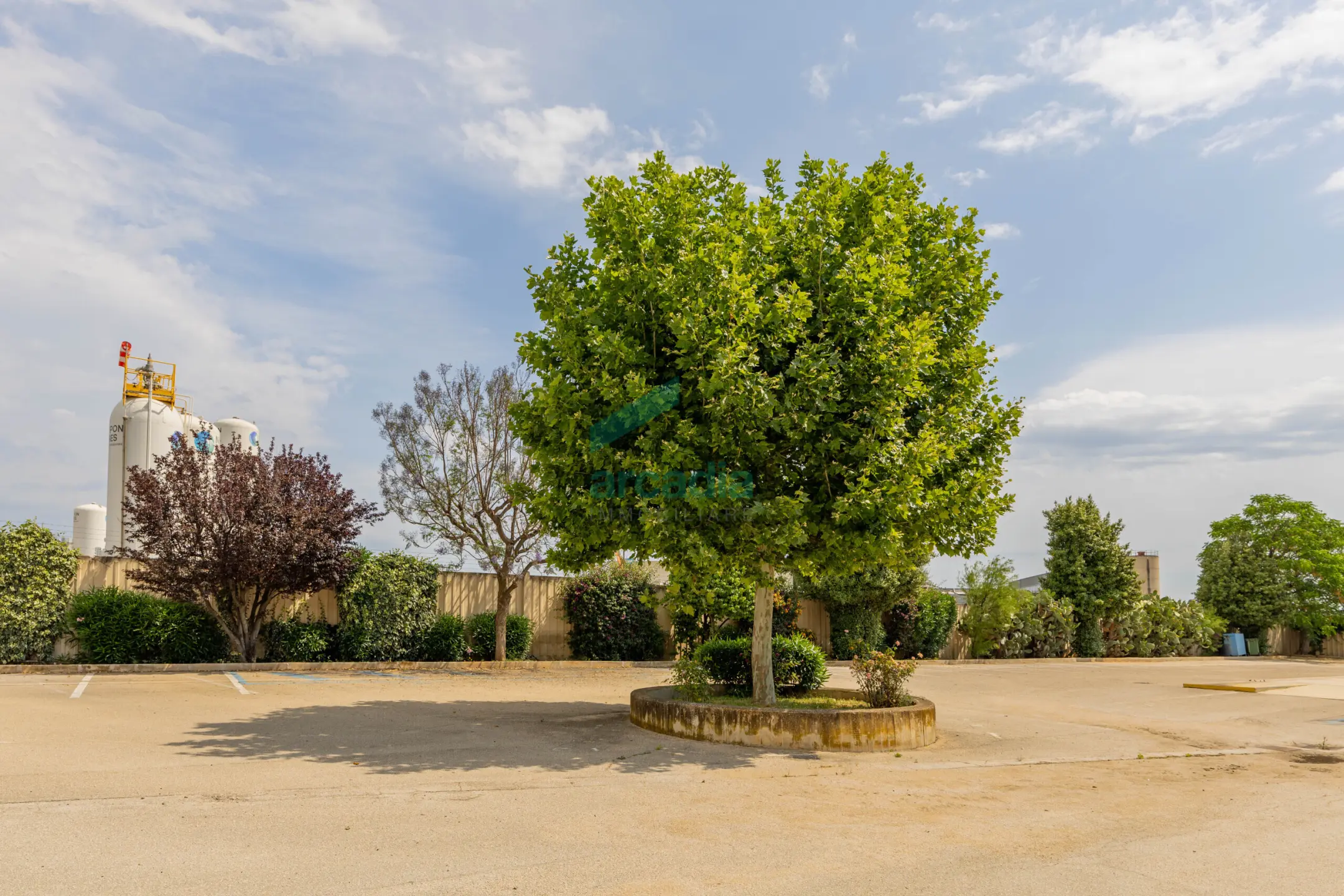 Immagine per Industriale in vendita a Modugno via Dei Gigli 21