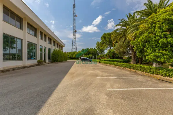 Industriale via Dei Gigli 21, Modugno