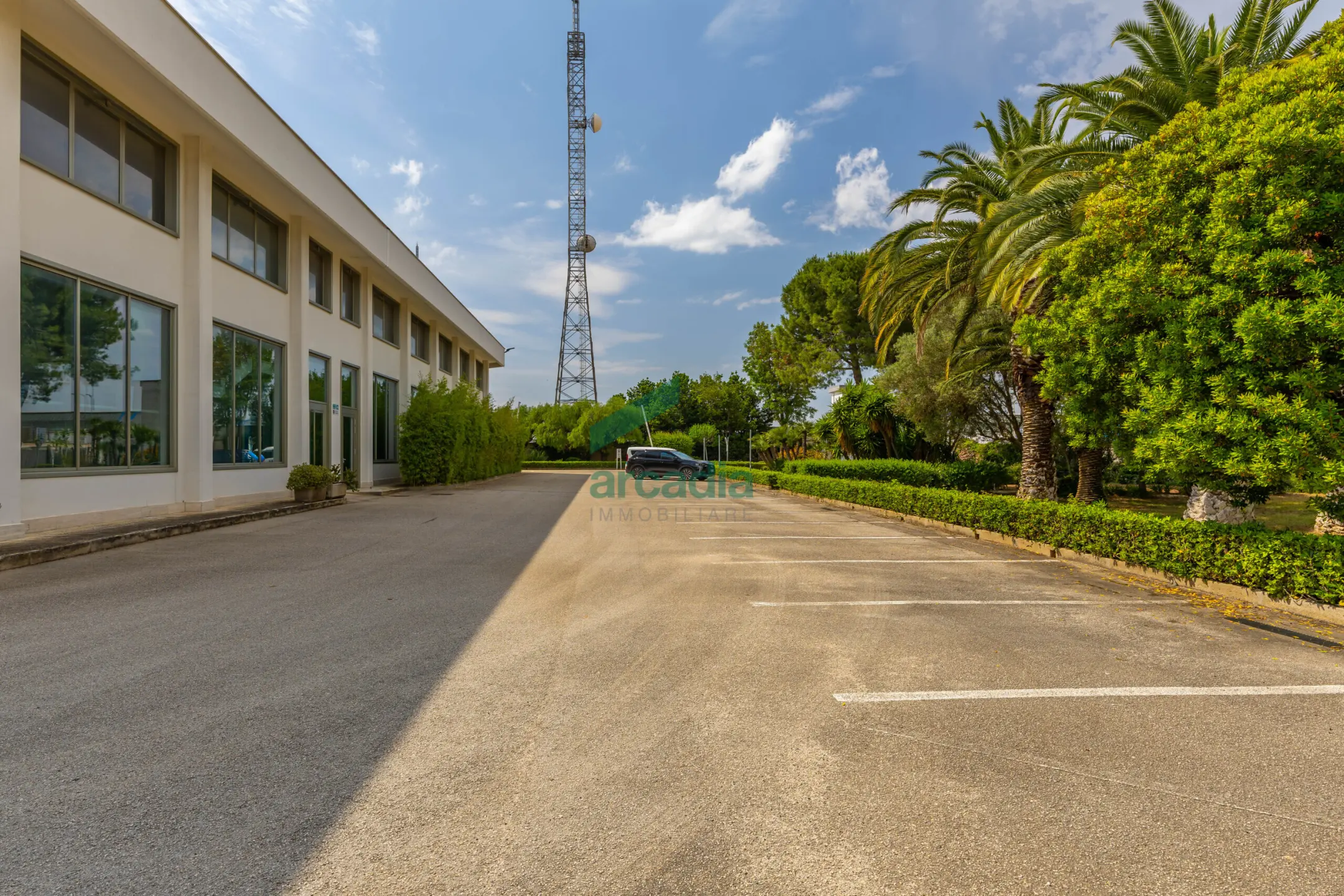 Immagine per Industriale in vendita a Modugno via Dei Gigli 21