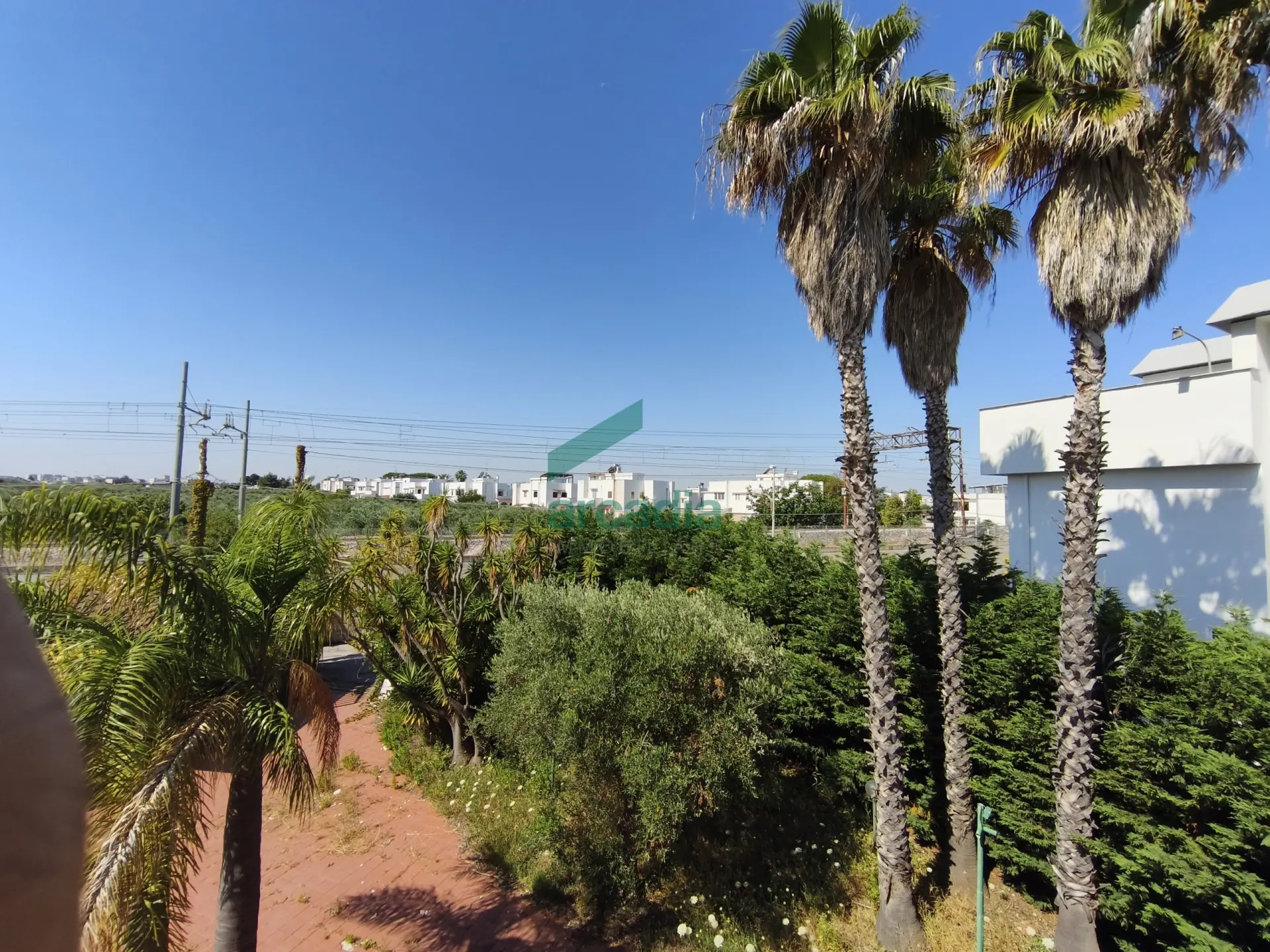 Immagine per Villa in vendita a Bari via Nazionale 8/H