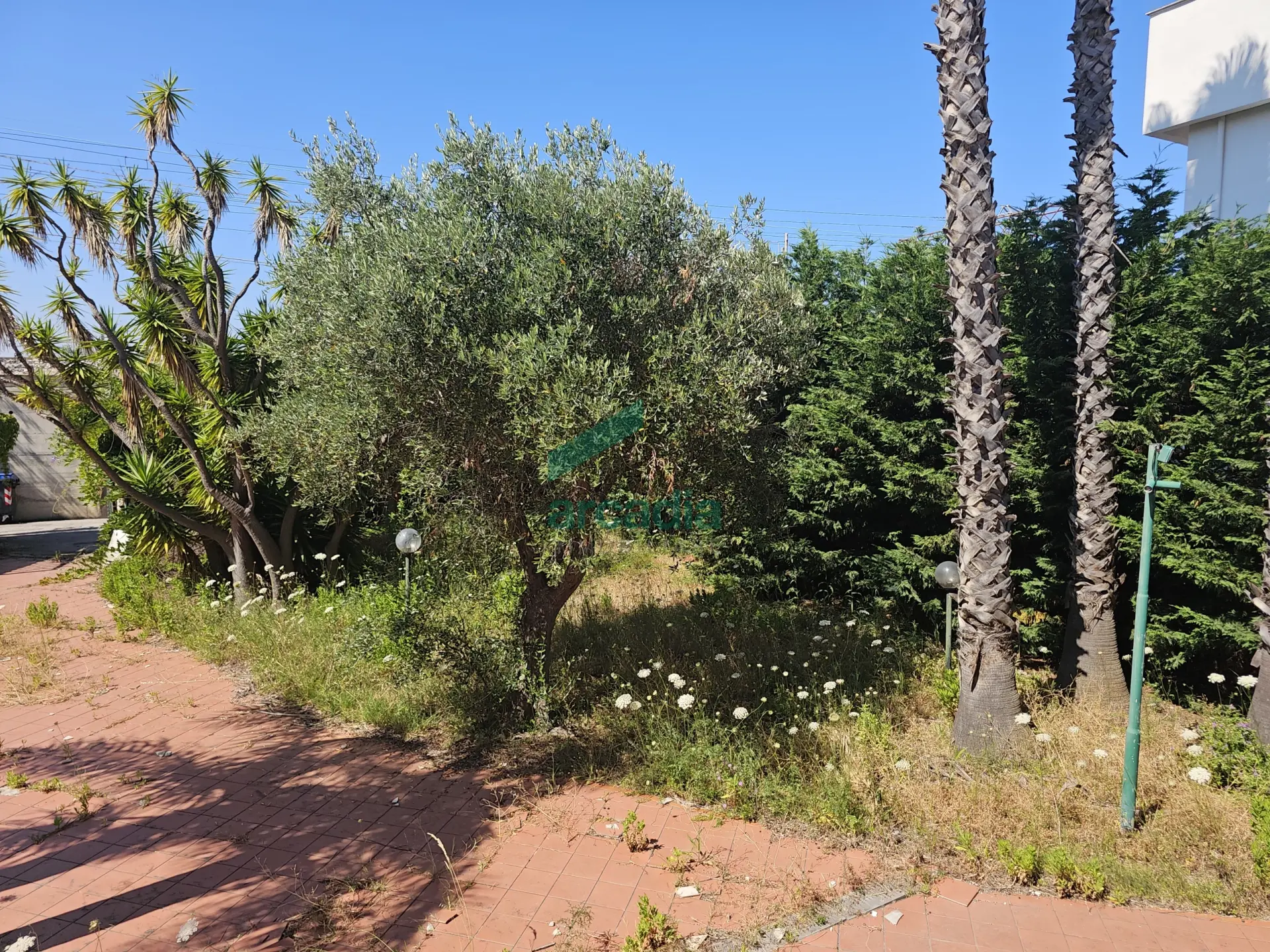 Immagine per Villa in vendita a Bari via Nazionale 8/H