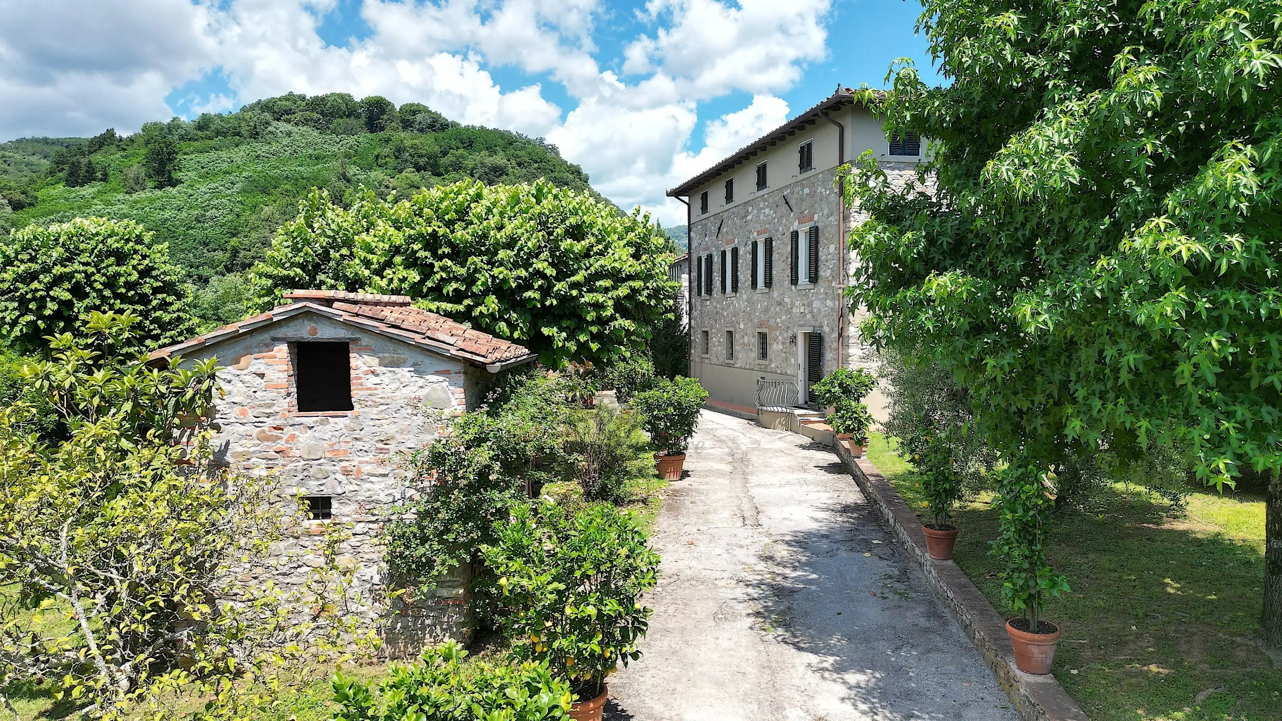 Immagine per Villa in vendita a Lucca via San Martino In Freddana