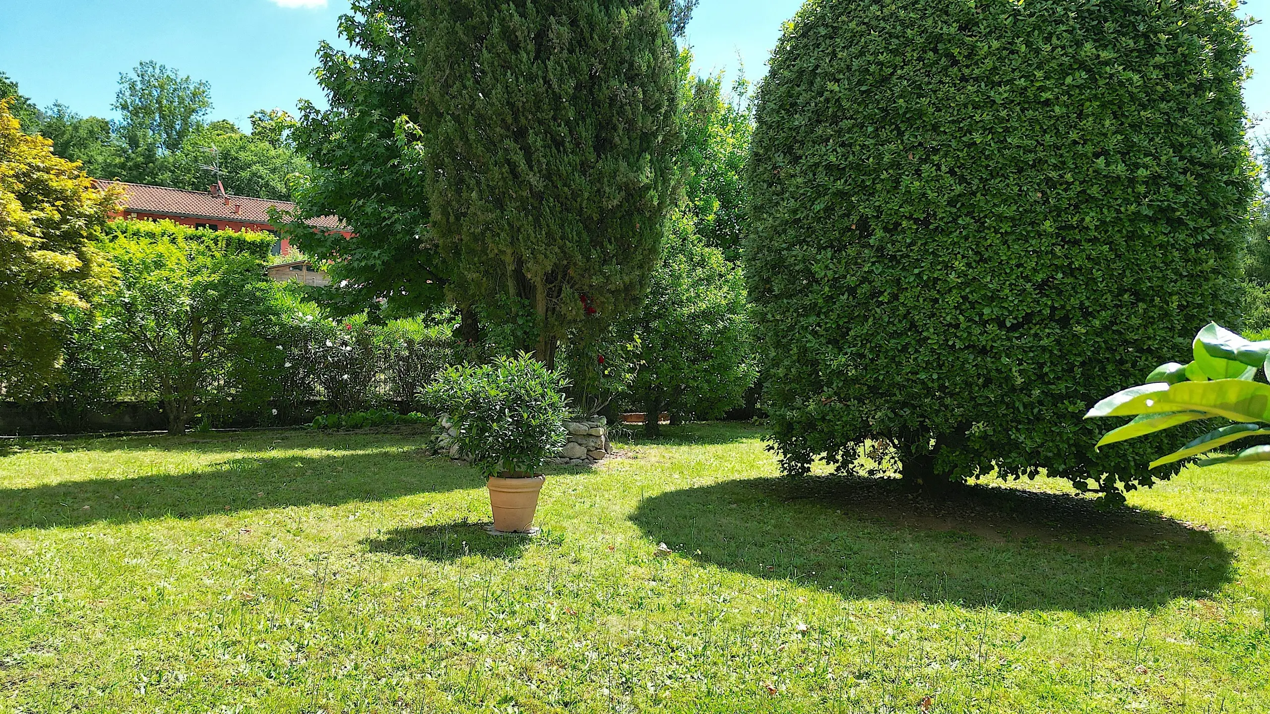 Immagine per Villa in vendita a Lucca via San Martino In Freddana