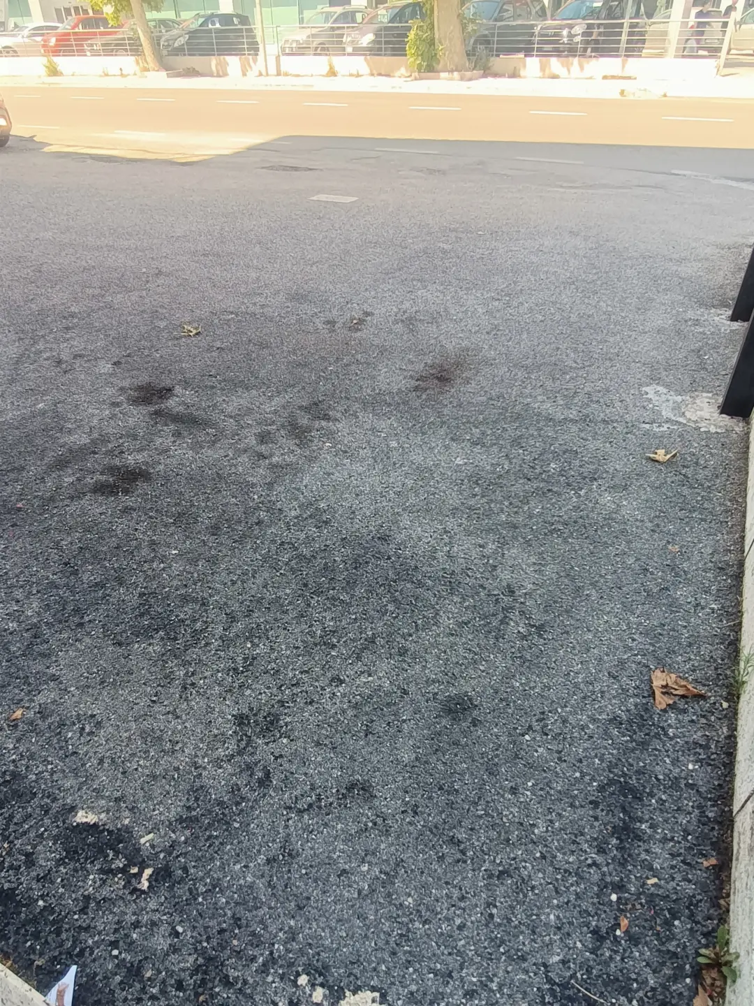 Immagine per Locale commerciale in affitto a San Benedetto del Tronto corso Giuseppe Mazzini