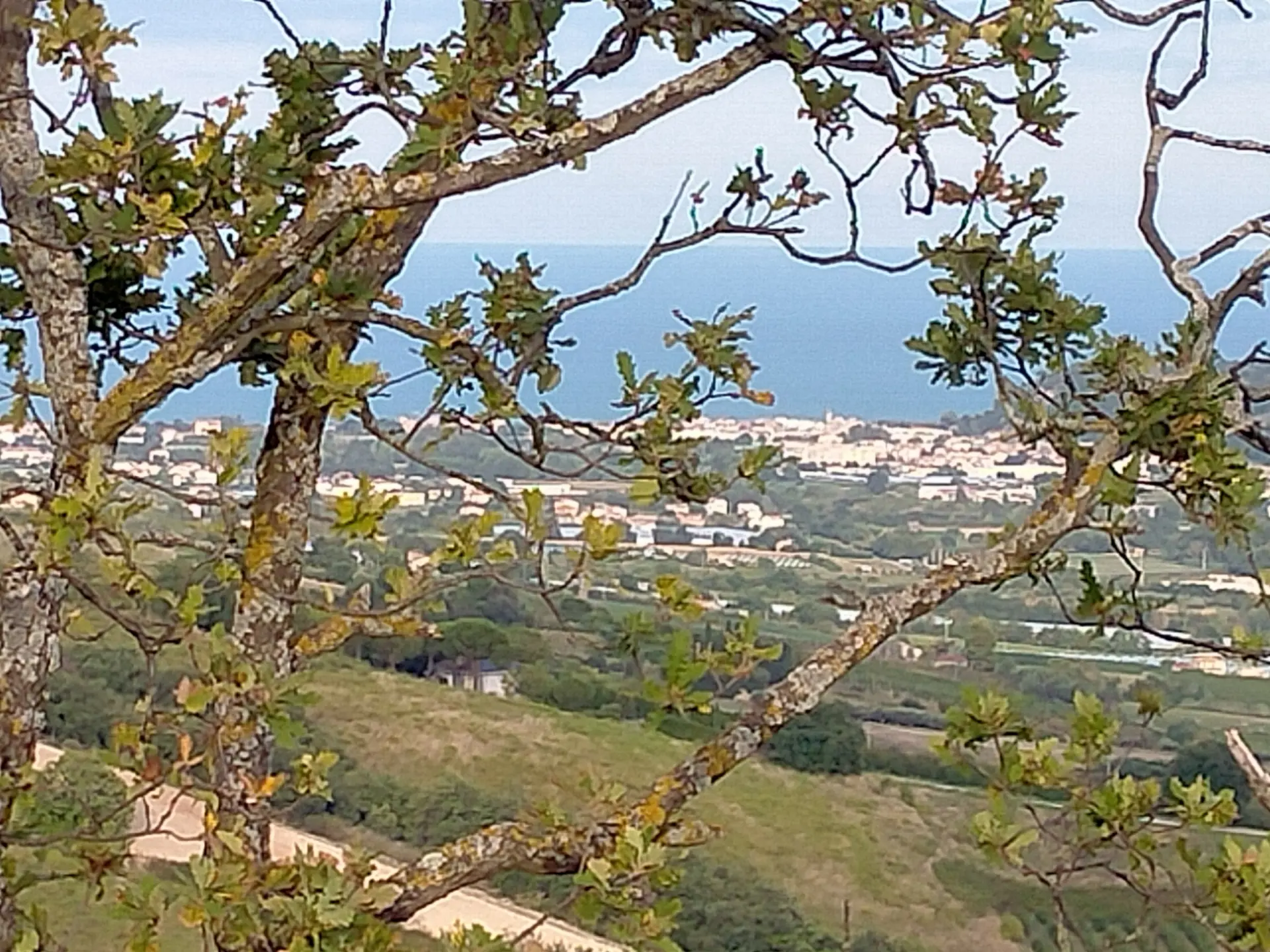 Immagine per Agriturismo in vendita a Monterubbiano via Contrada Castelletta snc