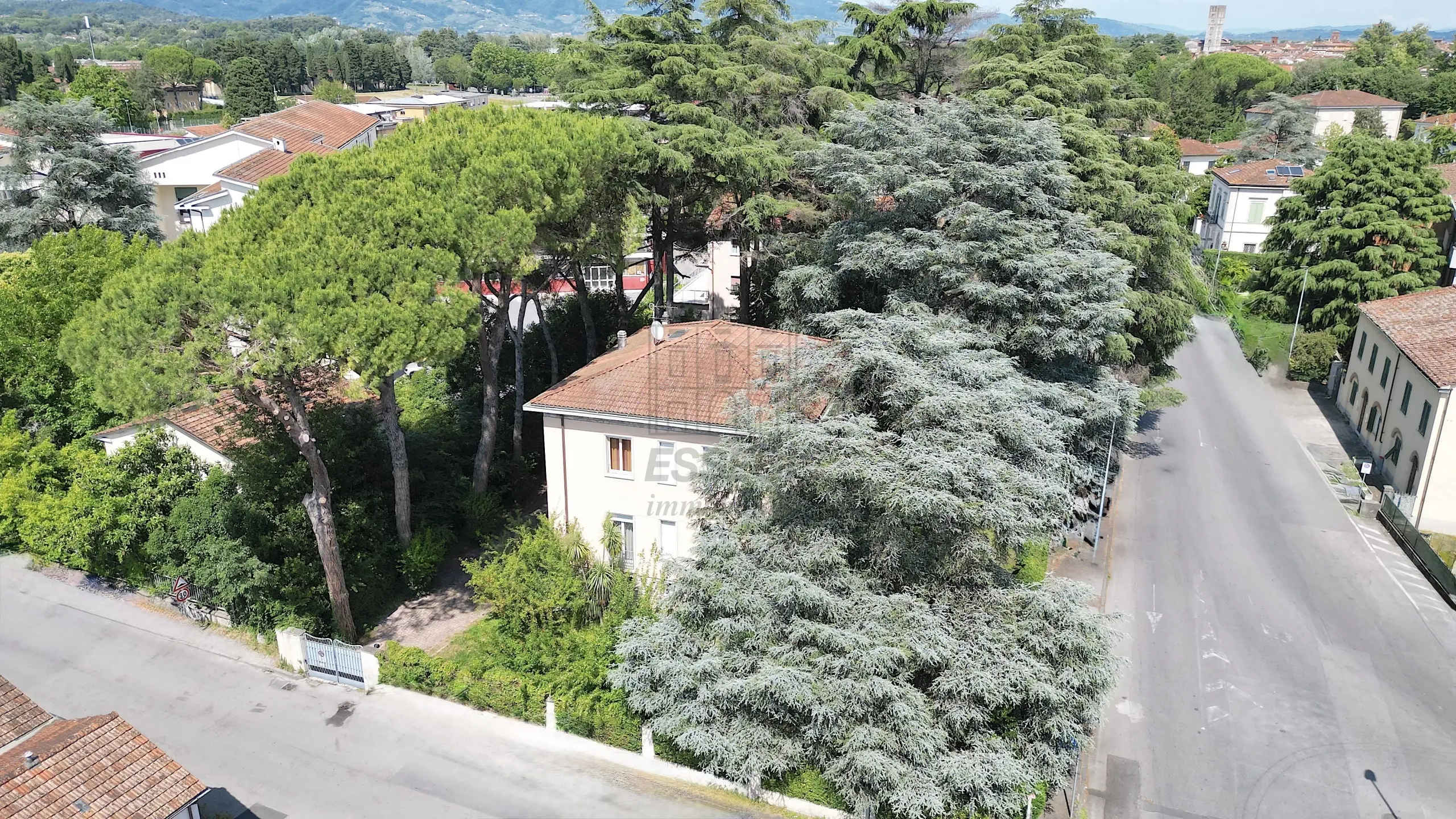 Immagine per Villa in vendita a Lucca via Castruccio Buonamici