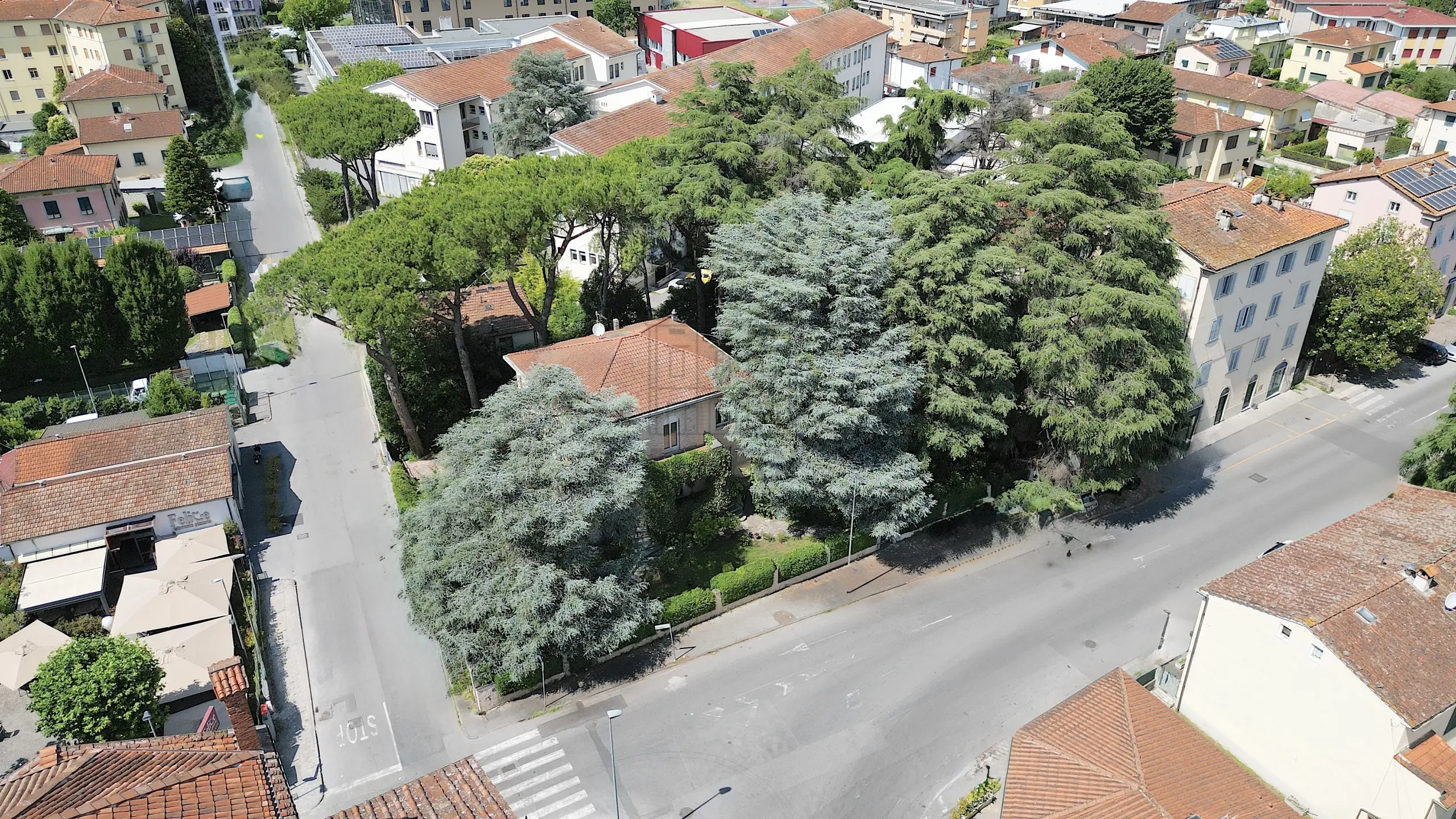 Immagine per Villa in vendita a Lucca via Castruccio Buonamici
