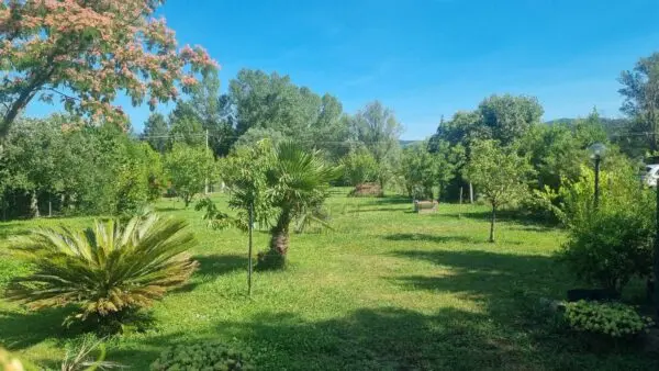 Immagine per Villa in vendita a Lucca via Sarzanese 3542