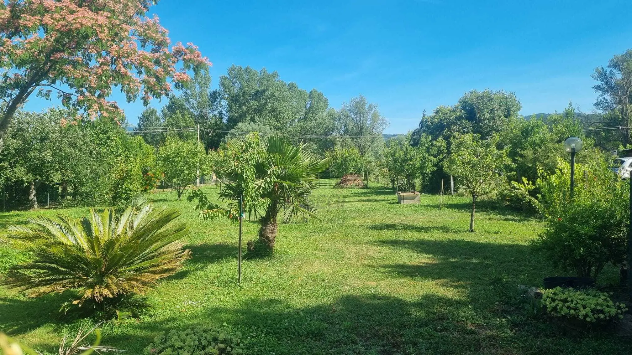 Immagine per Villa in vendita a Lucca via Sarzanese 3542