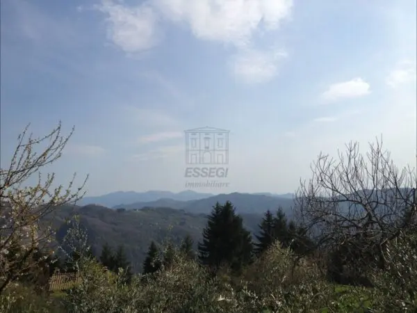 Terratetto via Località Carraia 7, Pescaglia