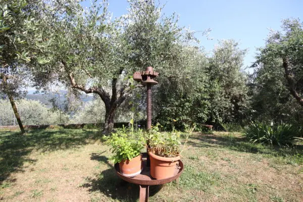 Casale corso 1, Pescaglia