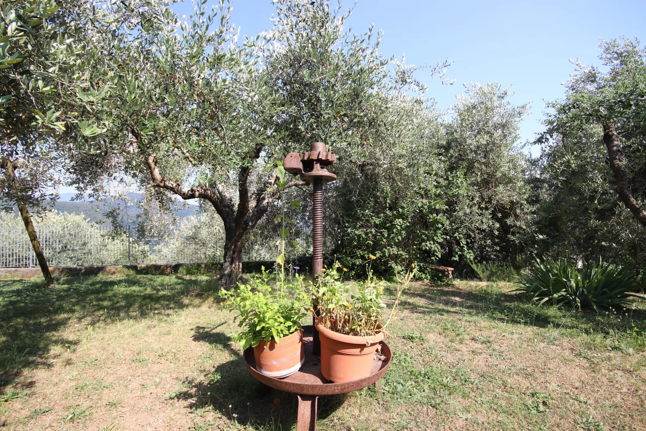 Immagine per Casale in vendita a Pescaglia località Corso 1