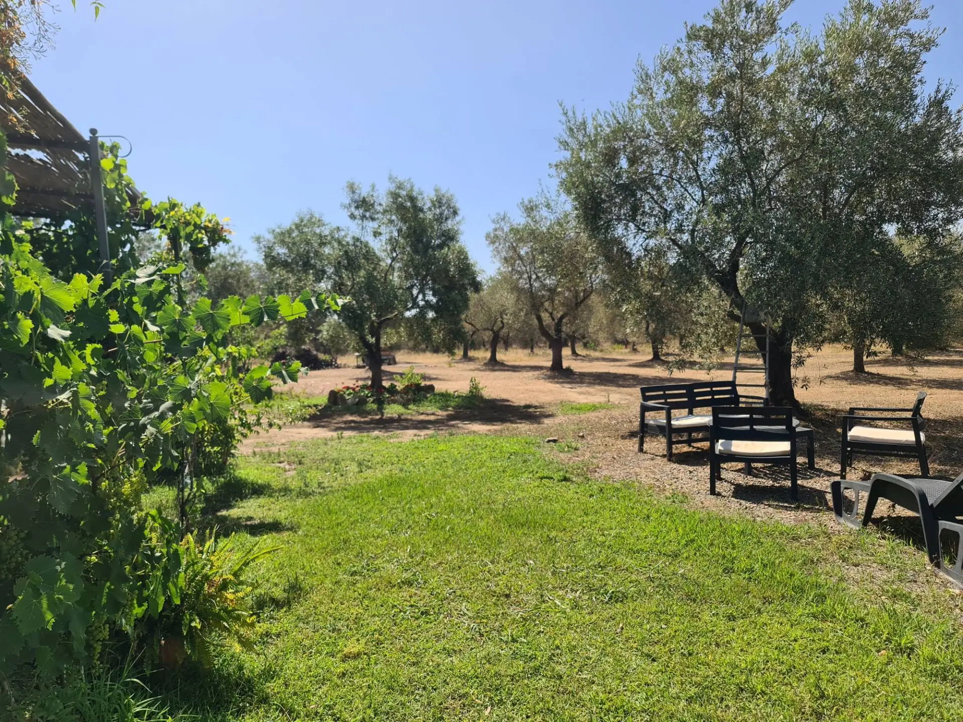 Immagine per Rustico/Casale in vendita a Villasalto Ex strada statale 125 